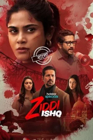 Ziddi Ishq Season 1 2025 Hindi WEB-DL 720p – 480p – 1080p