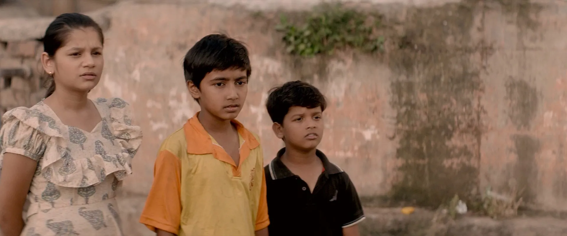 Chidiya 2025 Hindi Audio WEB-DL 720p – 480p – 1080p