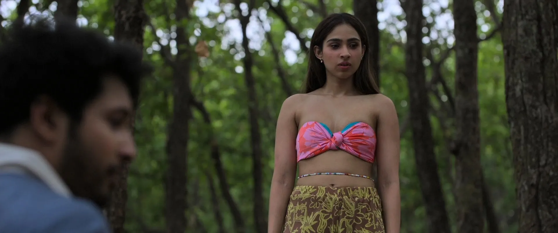 Ishq Vishk Rebound 2024 Hindi WEB-DL 720p – 480p – 1080p