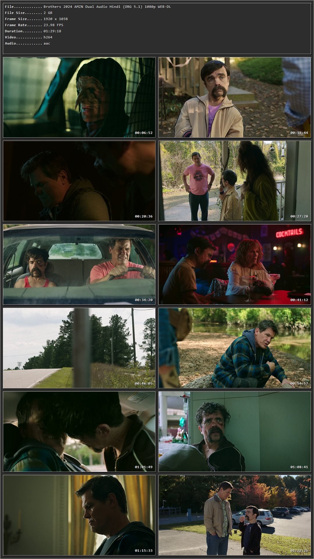 Brothers 2024 Hindi Dual Audio HDRip 1080p – 720p – 480p