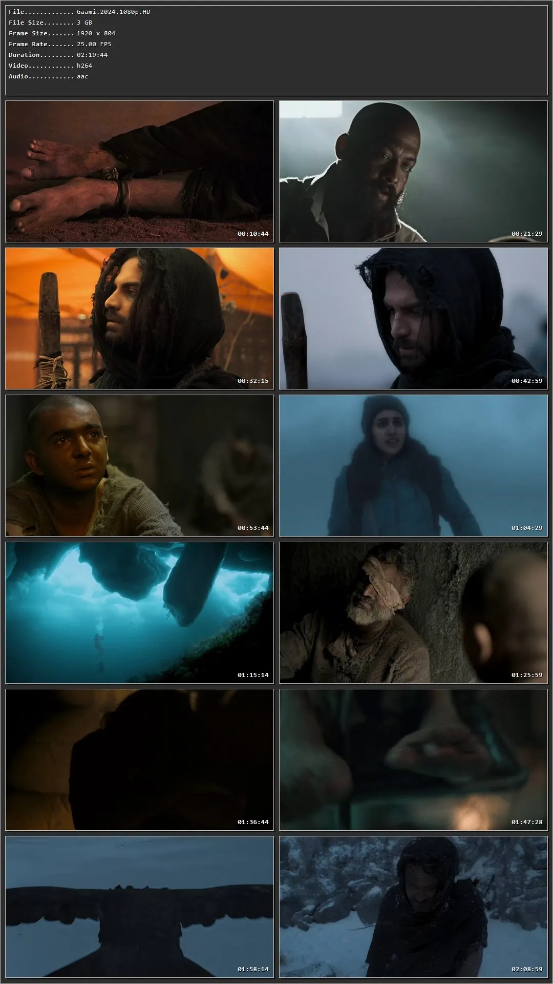 Gaami (2024) (Hindi – Telugu) HDRip 720p – 480p – 1080p