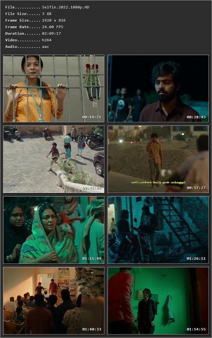 Selfie (2022) [Hindi + Tamil] HDRip 720p – 480p – 1080p