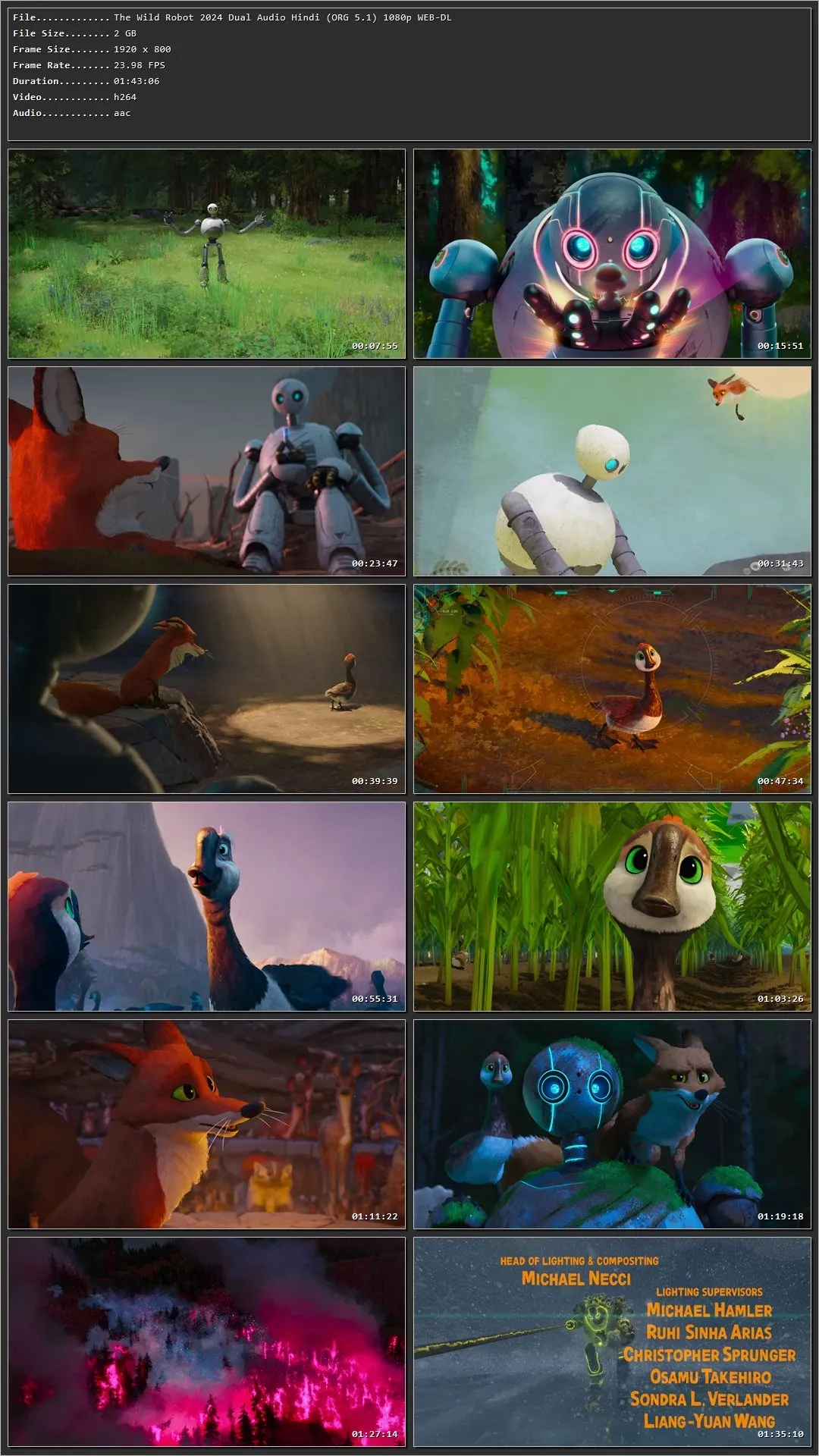 The Wild Robot (2024) Hindi (Org) Dual Audio HDRip 1080p – 720p – 480p