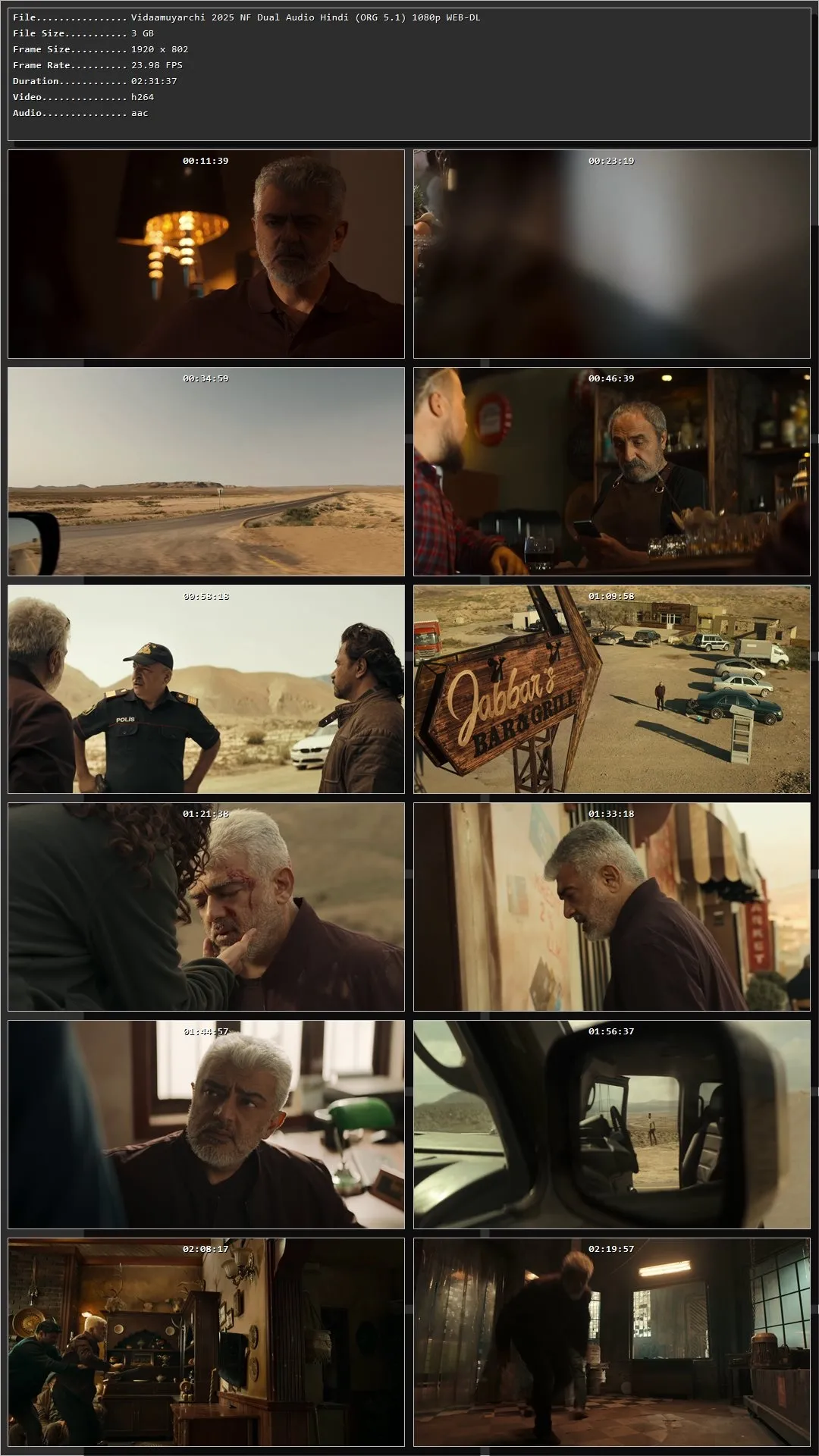 VidaaMuyarchi (2025) Hindi HDRip 720p – 480p – 1080p