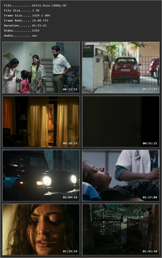 White Rose (2024) [Hindi + Tamil] HDRip 720p – 480p – 1080p