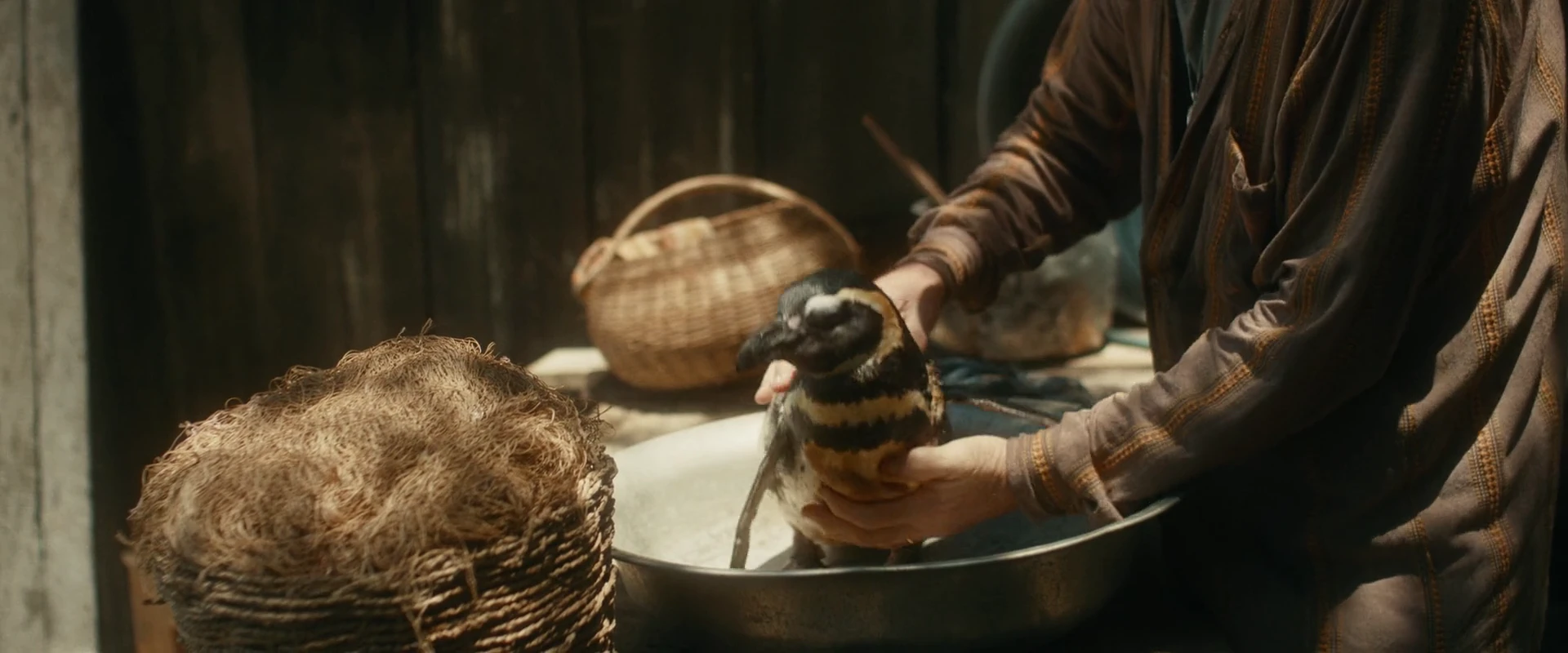 My Penguin Friend 2024 Hindi Dual Audio WEB-DL 720p – 480p – 1080p